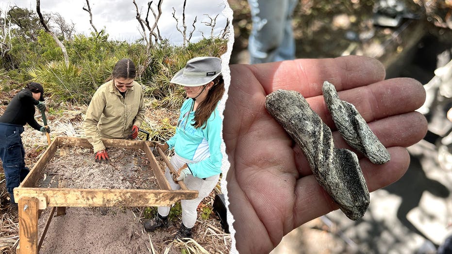 Ancient artifacts found beneath Cape Canaveral Space Force Station as one mystery still stumps researchers Sydney Private Schools