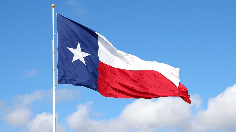 North Texas dominates in population growth as big blue cities fail to recover to pre-pandemic levels Sydney Private Schools